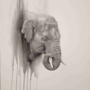 charcoal watercolour elephant head disappearing into the background