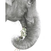 detailed charcoal-watercolour elephant head close-up, trunk clutching flowers, as a sign of hope