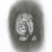 poignant charcoal image of a Lions head with sad closed eyes, seemingly disappearing into a black void-Sadness of the King